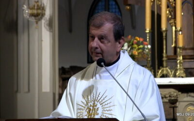 Homilia – ks. Mirosław Żak (Łk 7,31–35), 17 września 2025