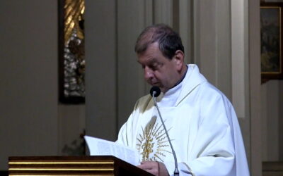 Od Drobnych Kroków do Wielkiego Skarbu – Homilia ks. Mirosław Żak – 19.11.2025