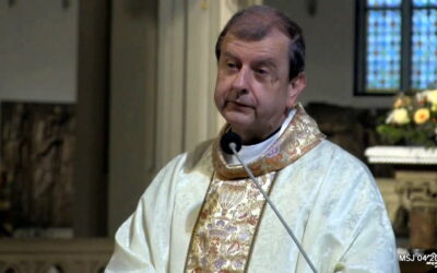 Światło, które przychodzi w noc.