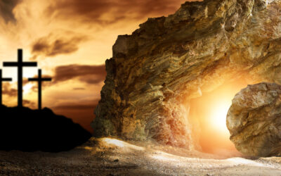 Cisza, która dojrzewa do Alleluja