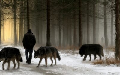 Serce czyste